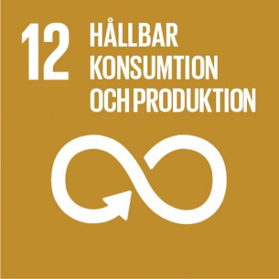 Sustainable-Development-Goals_icons-12-1