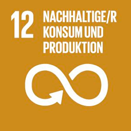 Sustainable-Development-Goals_icons-12-DE