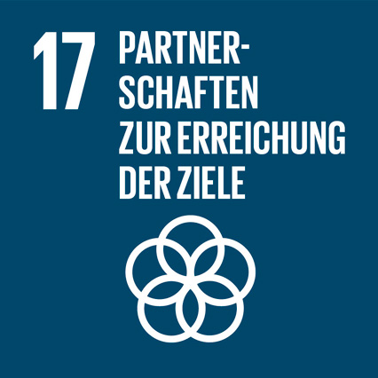 Sustainable-Development-Goals_icons-17-DE
